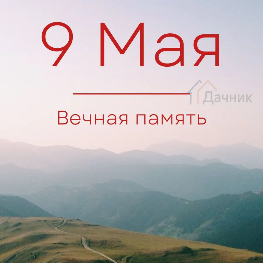 photo1715263985